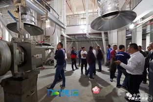 珠海德海 中國特種水產飼料行業(yè)巨頭與軟件開發(fā)的融合創(chuàng)新